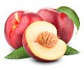 nectarina