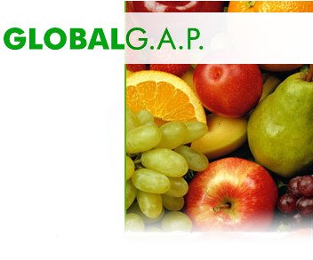 Golbal G.A.P.